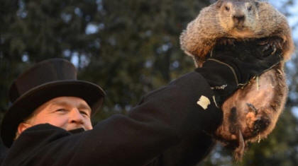 punxsutawney dating